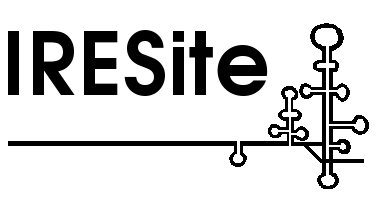 IRESite logo